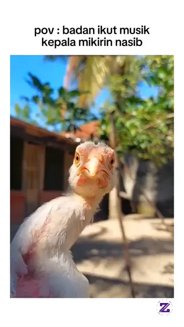 Nasib Memang Tiada Orang Yg Tau , Kita Mah Cuma Brusaha Dan Mikirin