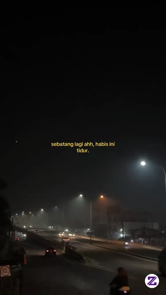 Sebatang Lagi Baru Tidur