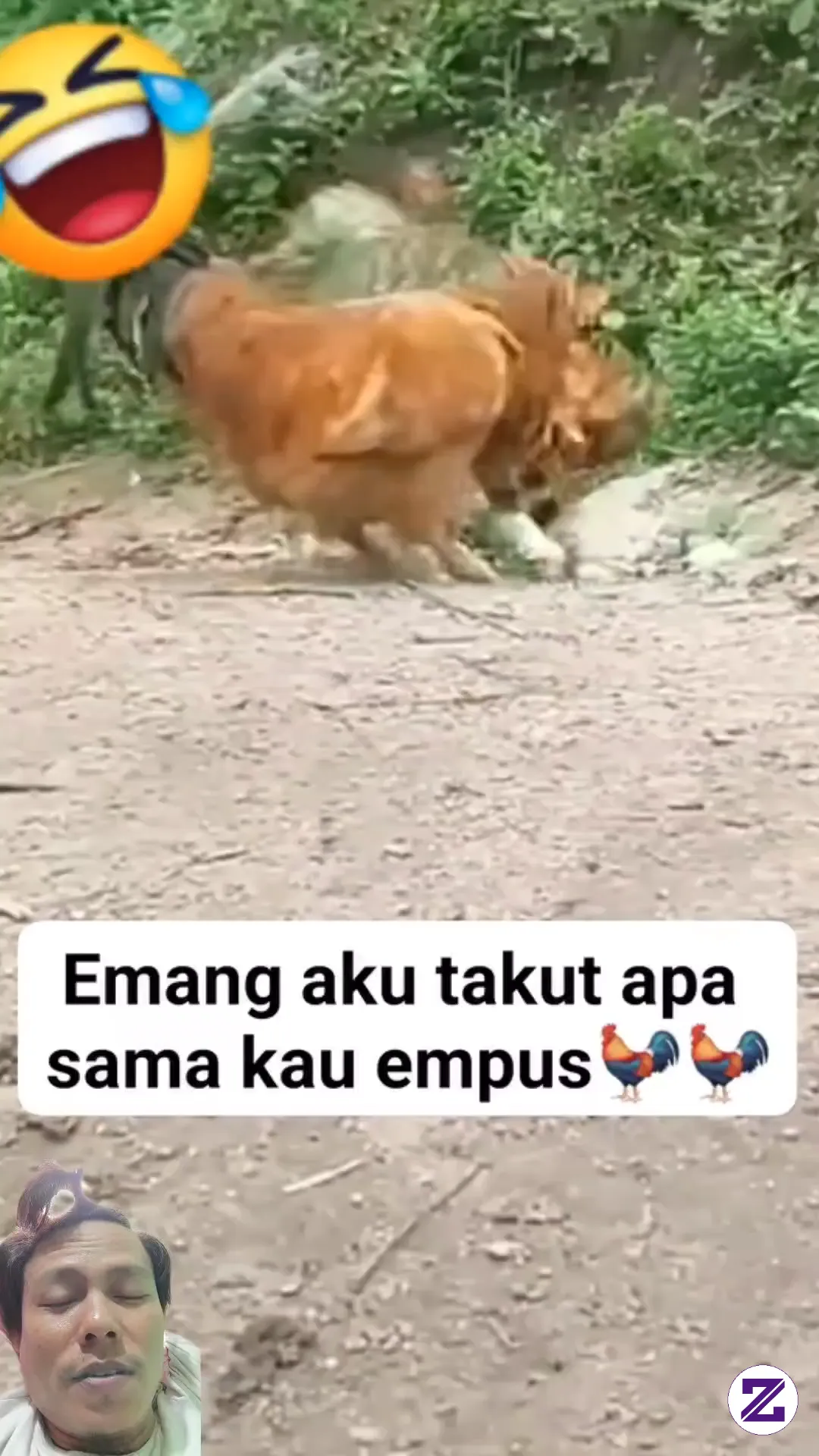 Salah Pilih Lawan Tuh Kita Lihat