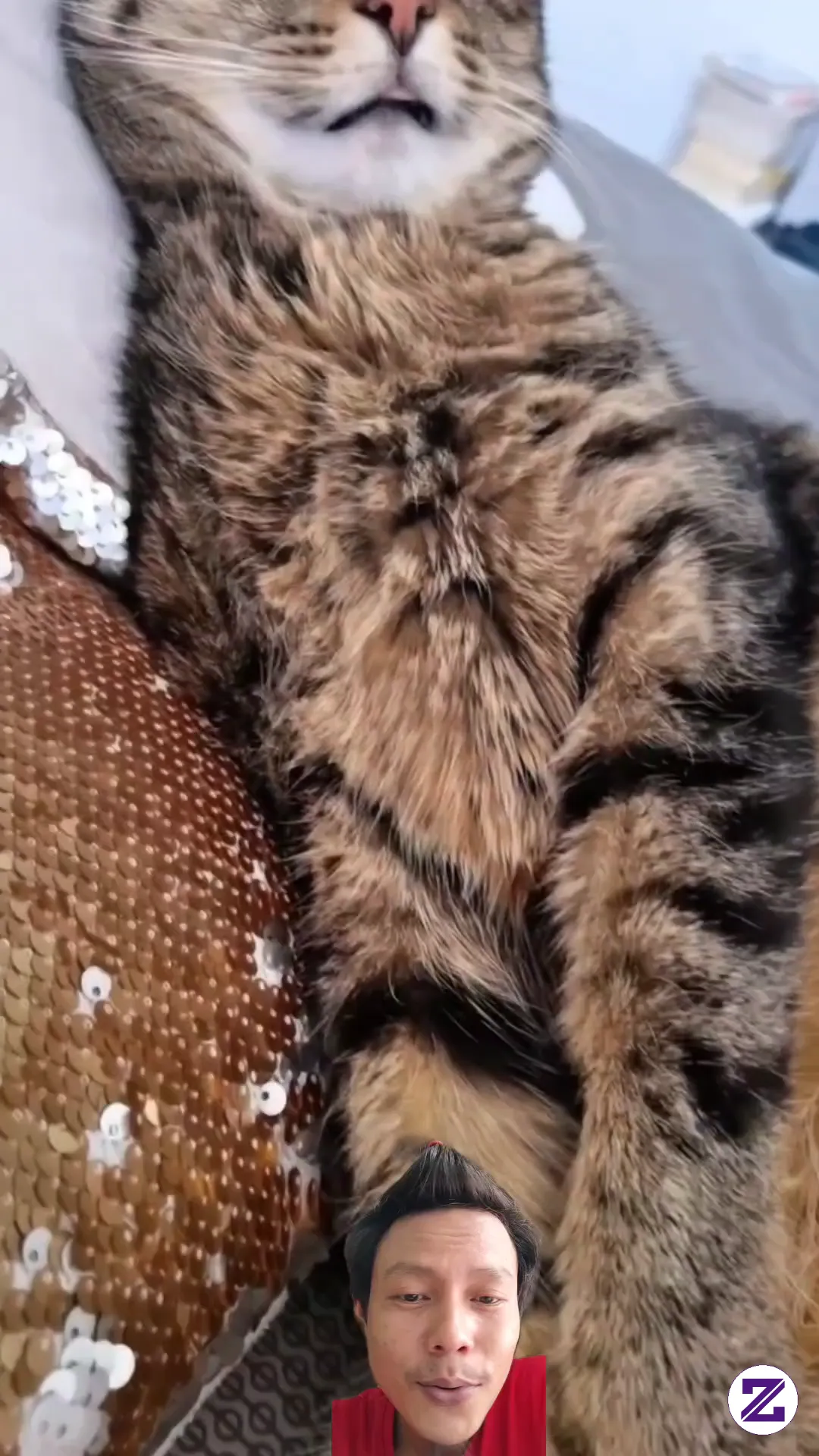 Kirain Suara Apa, Ternyata Si Oyen Ngorok!