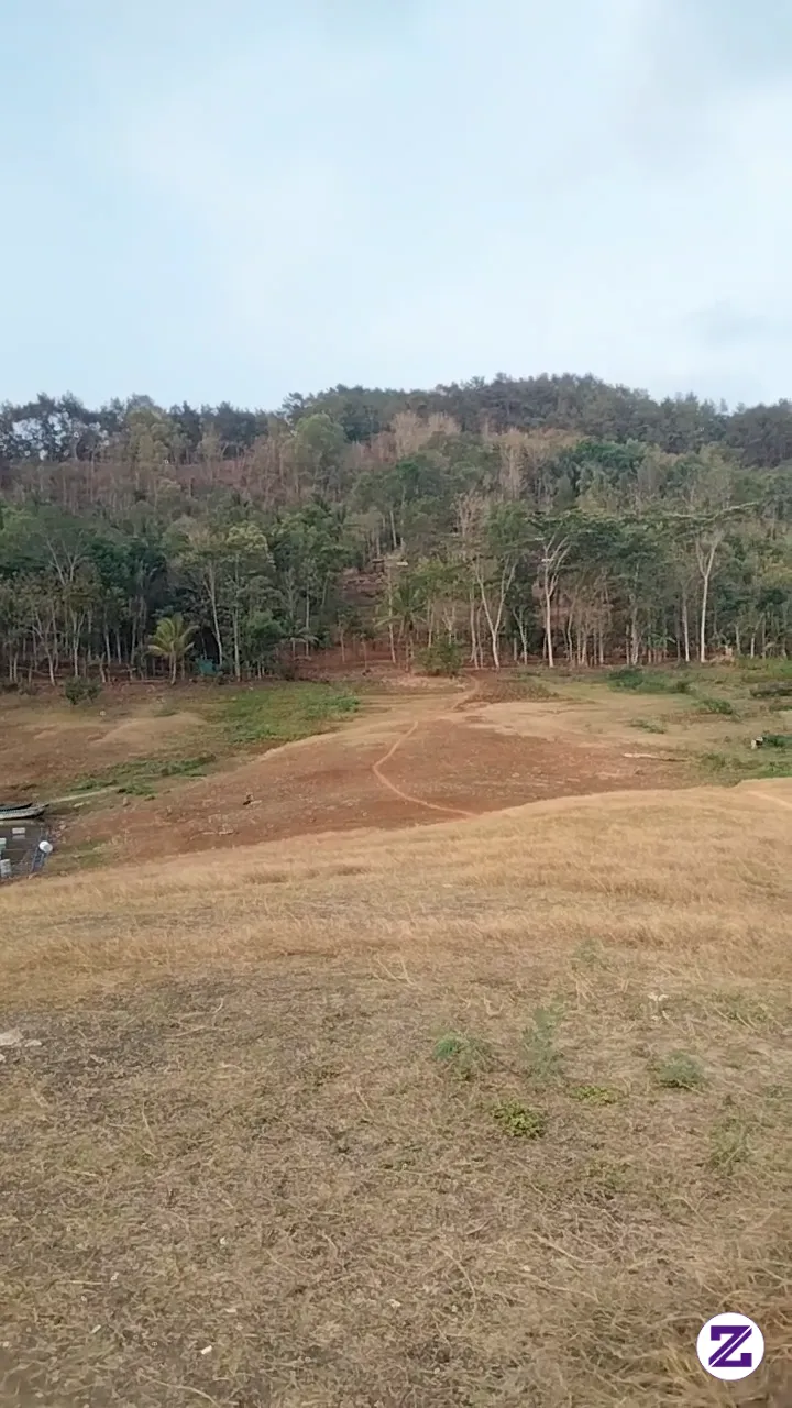 Rekomendasi