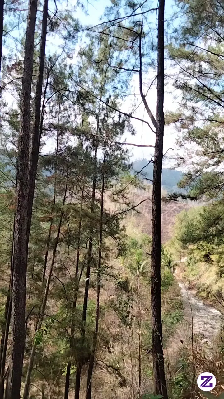 Keindahan Alam