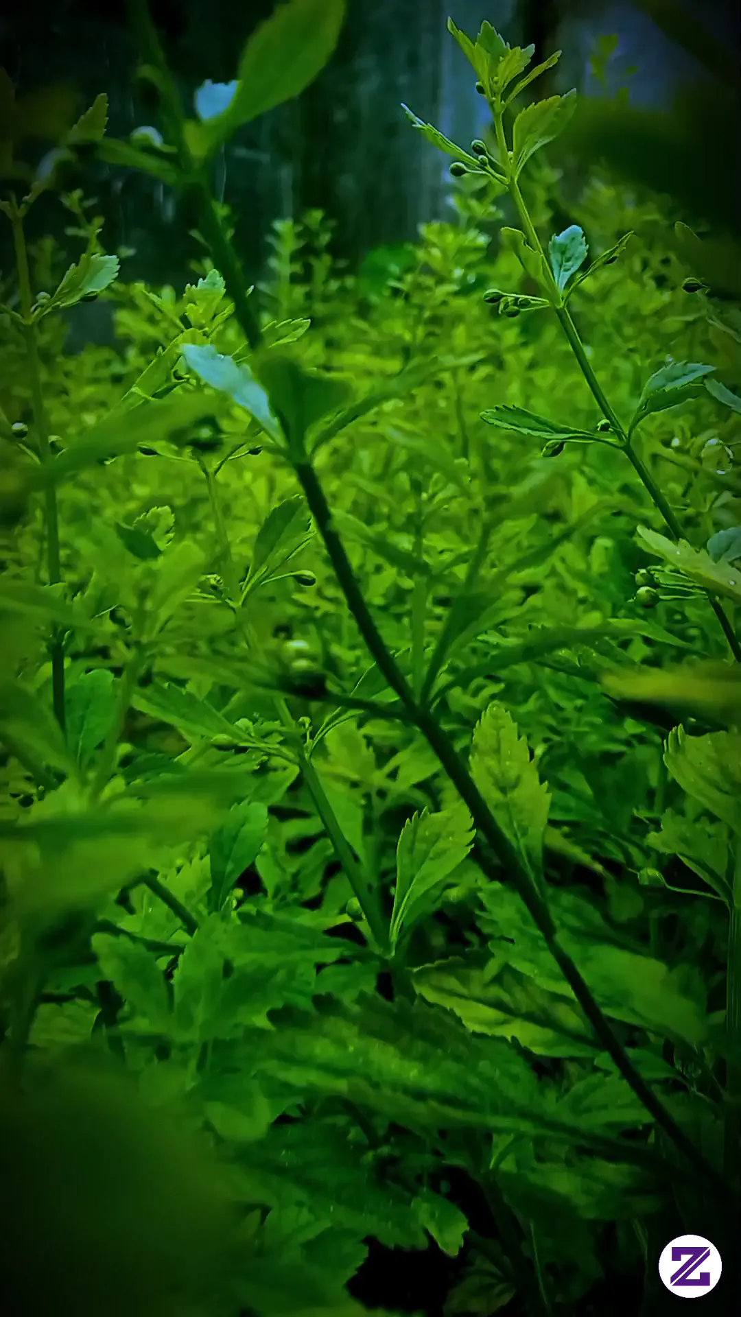 Kadang Kita Cuma Butuh Berhenti Sebentar... 🌿💧