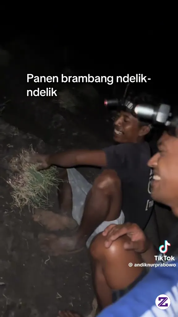 Panen Brambang Delik Delik video by Horeg Ngebor