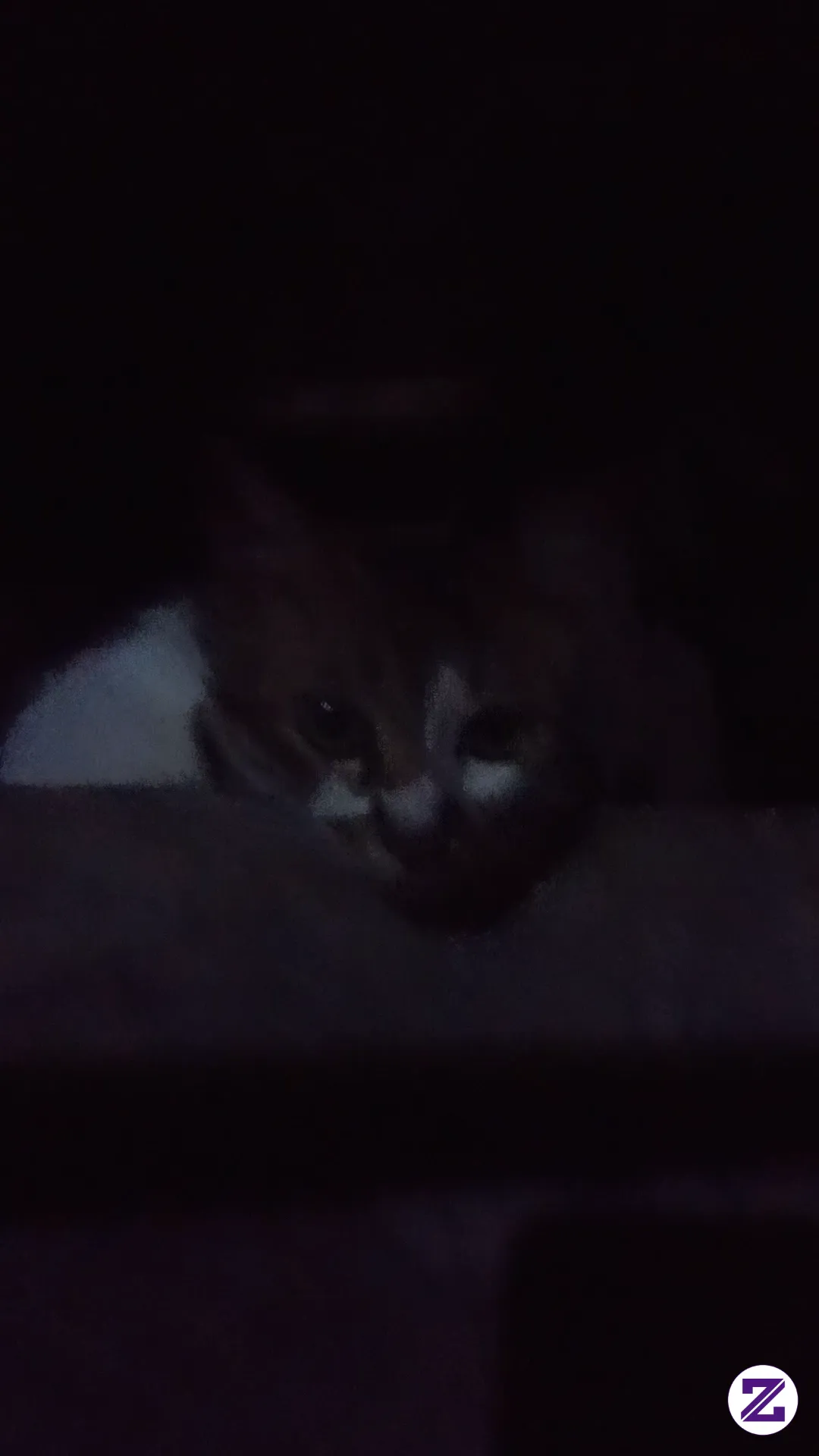 Hallo Nama Aku Ontel😹