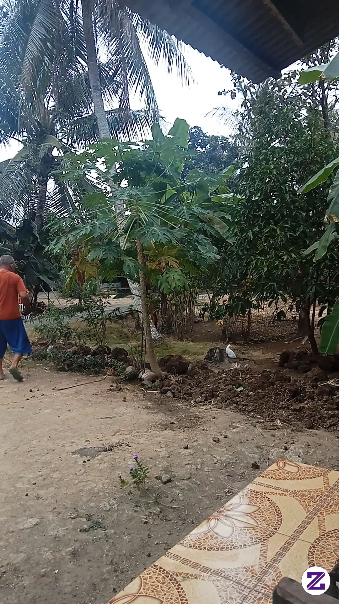 Alhamdulillah - Kesehatan - Rani