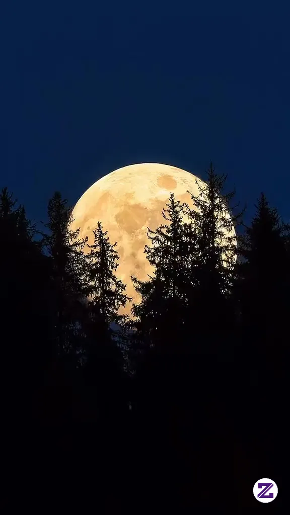 Mooonnnn B🌙ulan