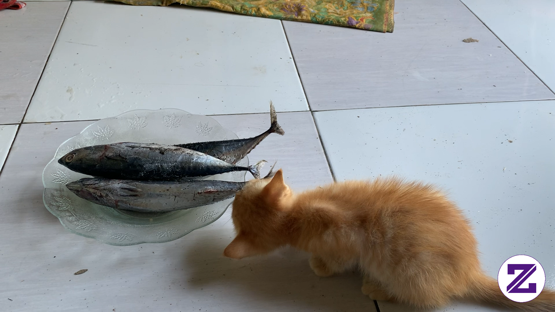 Makan Sampai Kenyang