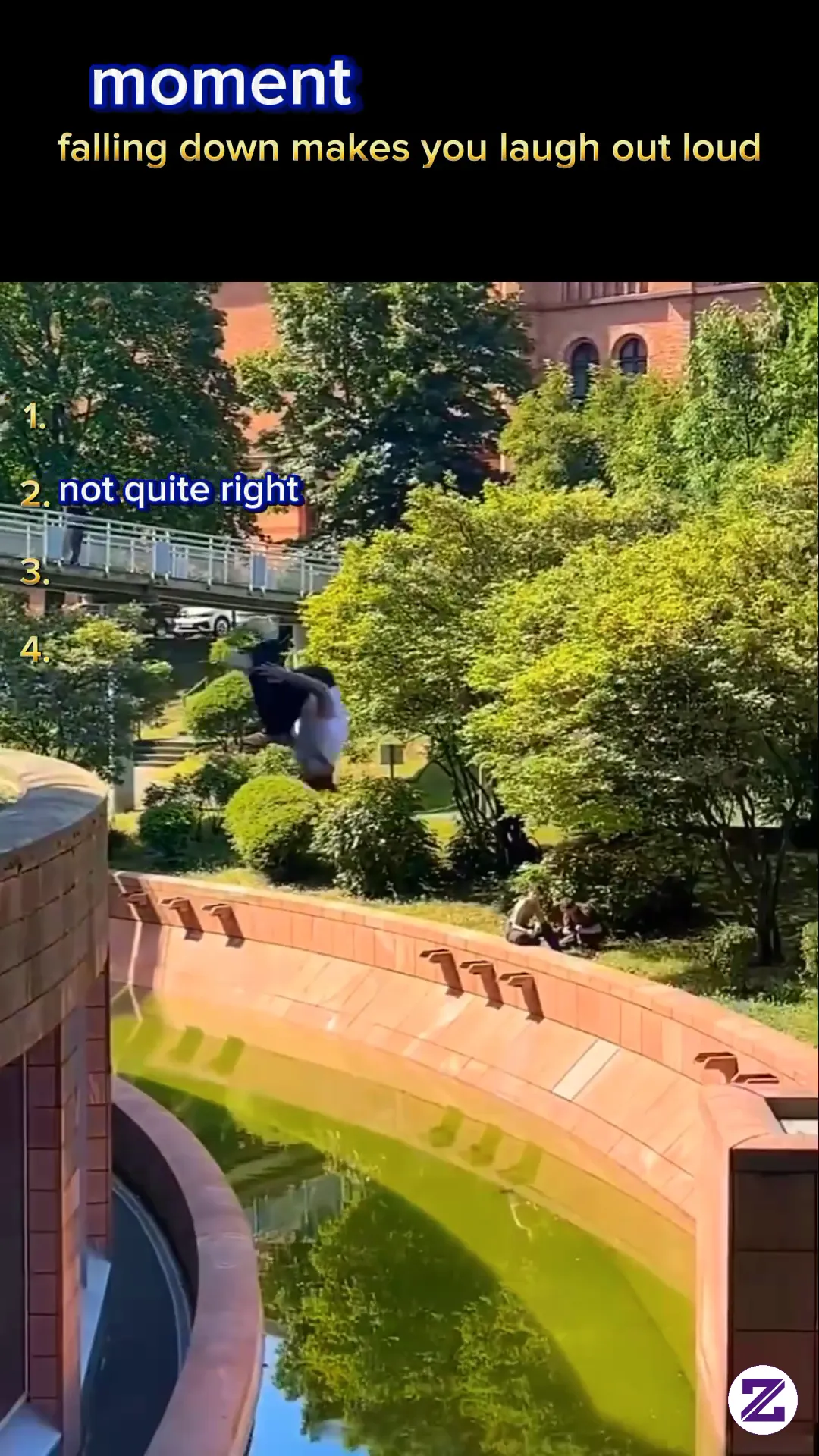 Moment Falling Down Makes You Laugh Out Loud #funny