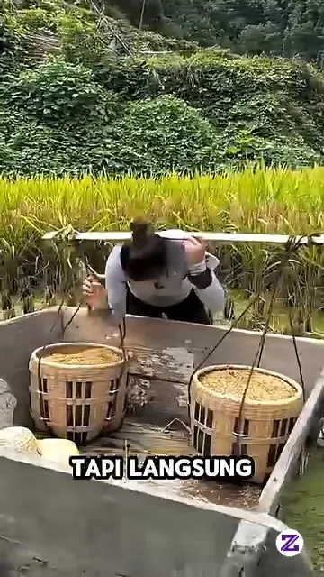 GOKIL 🤑Sekali Angkut Bisa Sebanyak Ini