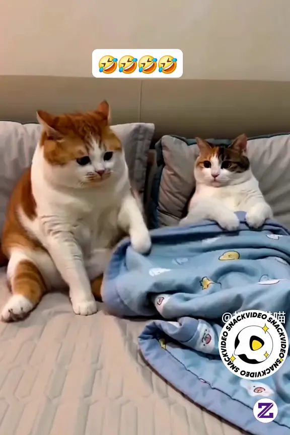 Oyen Si Jailll