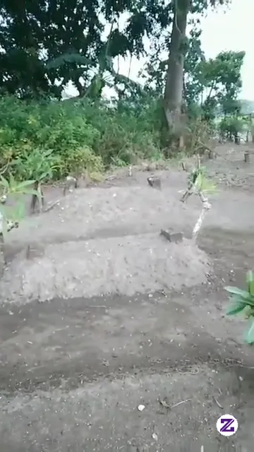 Selagi Orang Tua Masih Ada Berbaktilah Kepada Orang Tua...
