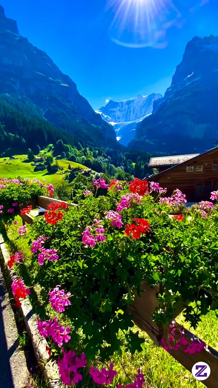 Swiss View