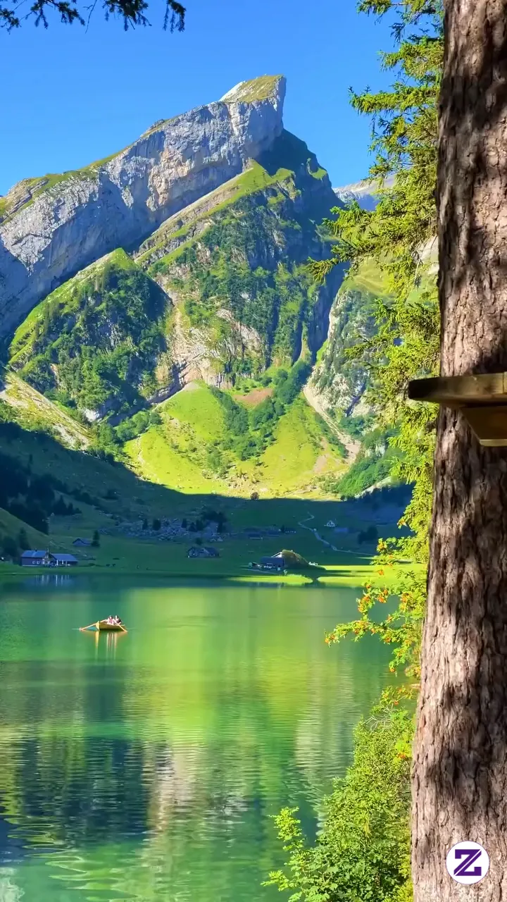 Swiss View