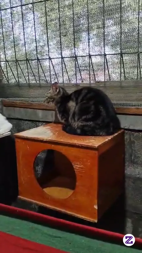 Anak-anak Ku