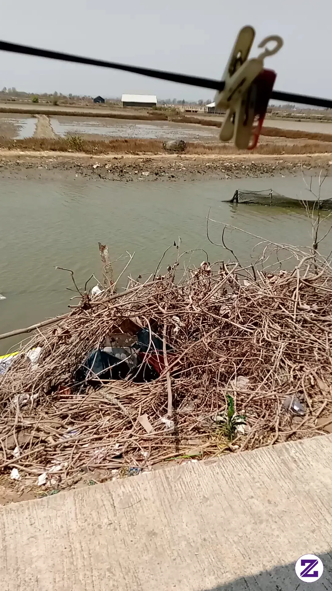 Jaring Ikan Di Sungai Air Asin