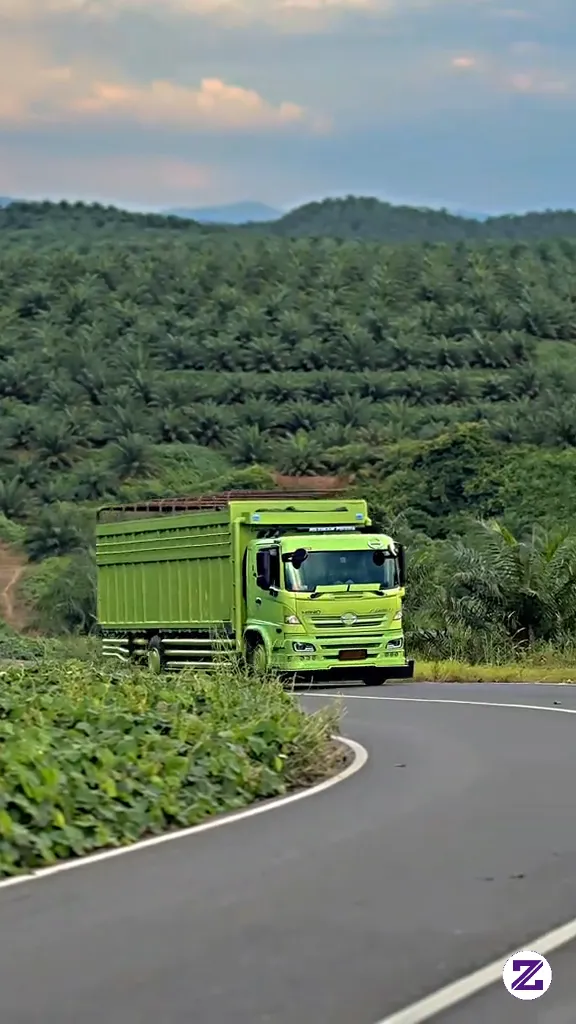Ditengah Tengah Perkebunan Kelapa Sawit