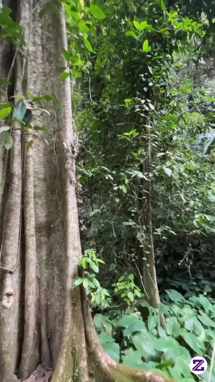 Lagi Di Hutan 😂