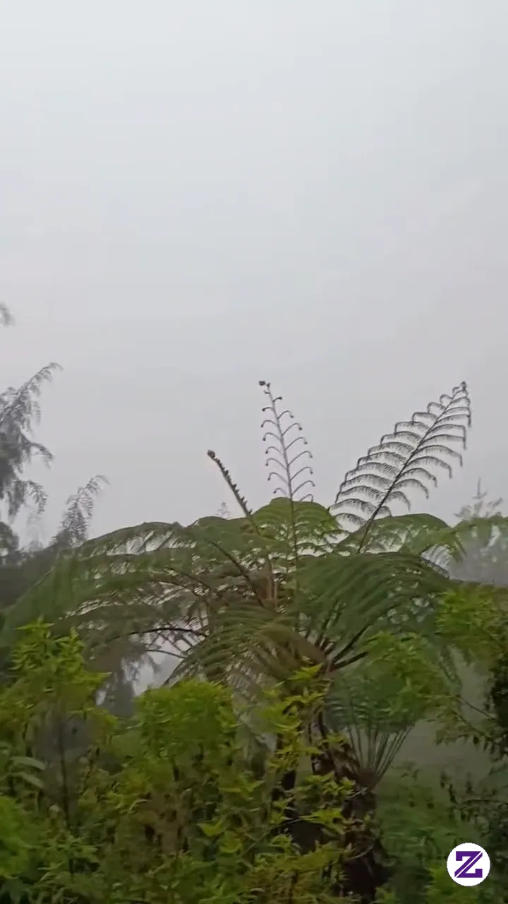 Lgi Di Gunung