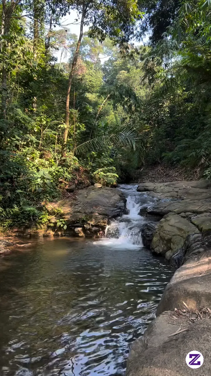 Tenang Menghirup Udara Seger🧘🧘
