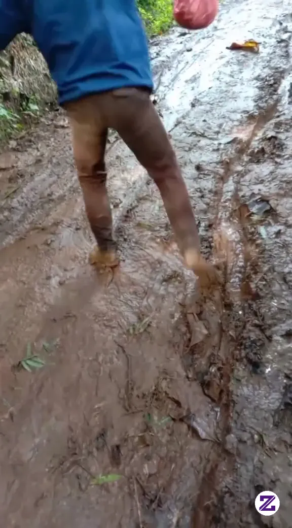 Video Orang Terpeleset