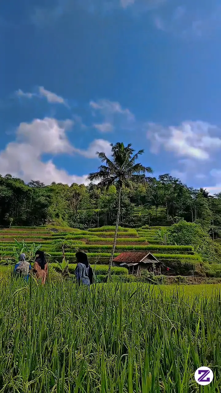 Menikmati Suasana Alam🌾🍃