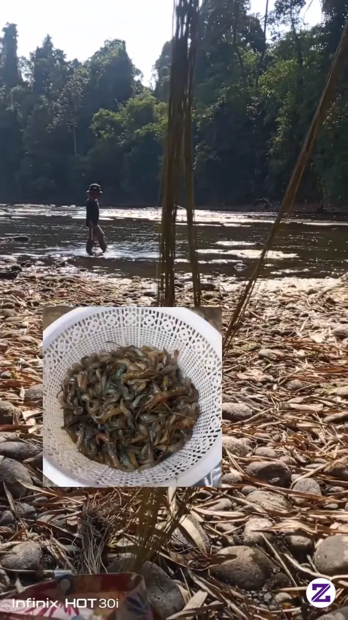 Nyari Udang Citanduy