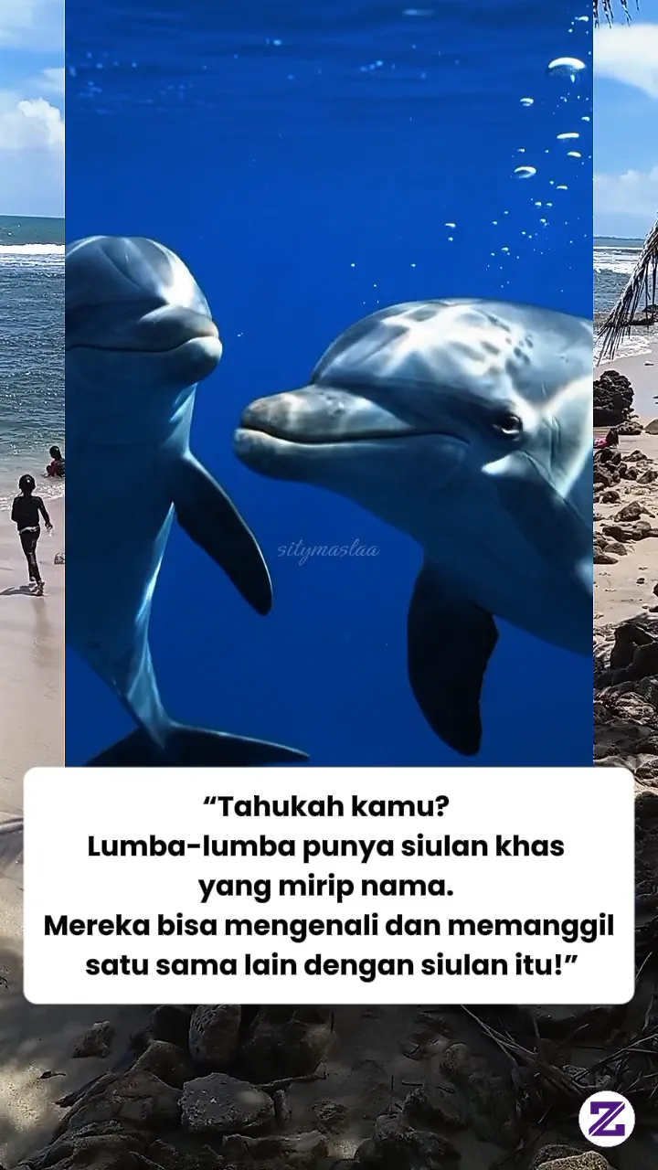 Apakah Km Sudah Tau?