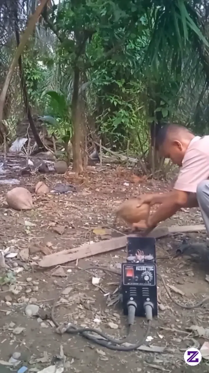 Ketawalah Sebelum Ketawa Itu Kena Rajia😃