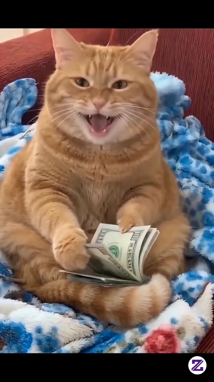 Duit Yang Berkuasa 😁,,kucing Juga Pegang Duit