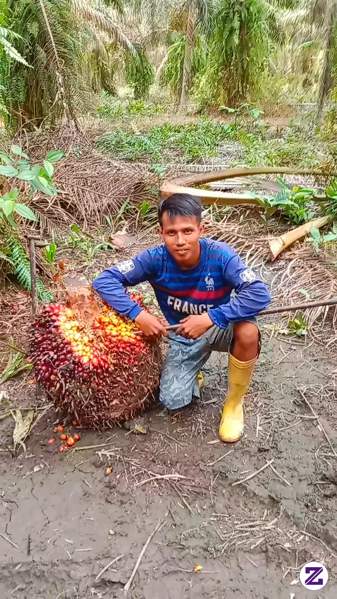 Pejuang Rupiah Tanpa Lelah Semoga Berkah Amiin @zoyalink @semuaorang #pejuang