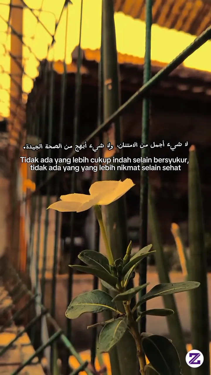 Kata Kata Motivasi
