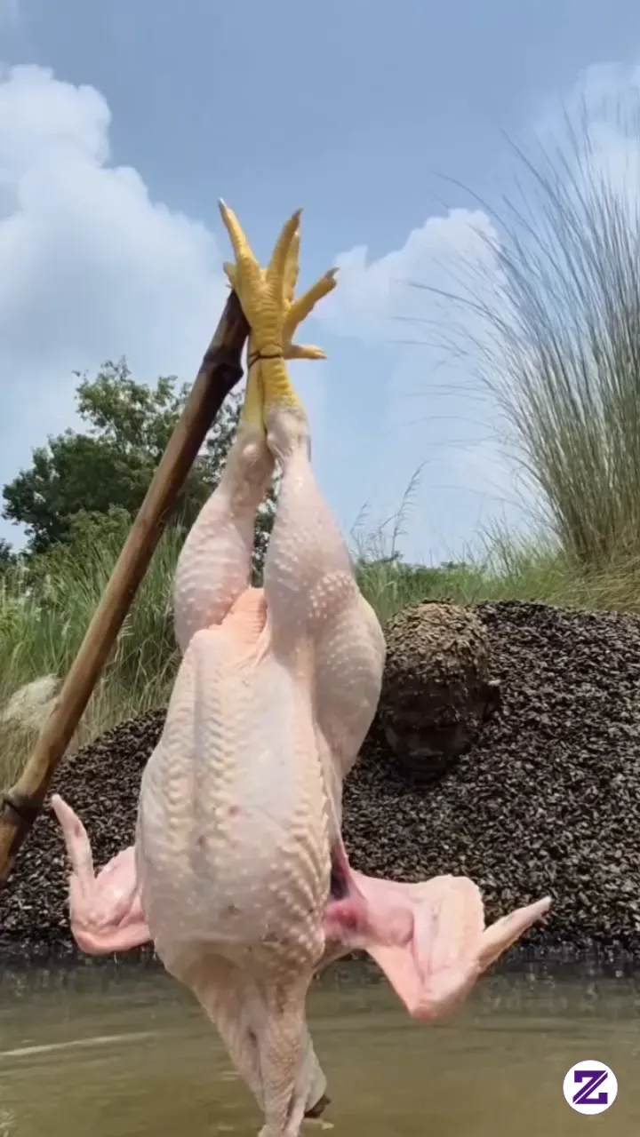 Inilah Trik Mudah Untuk Menangkap Ikan Guys 😁