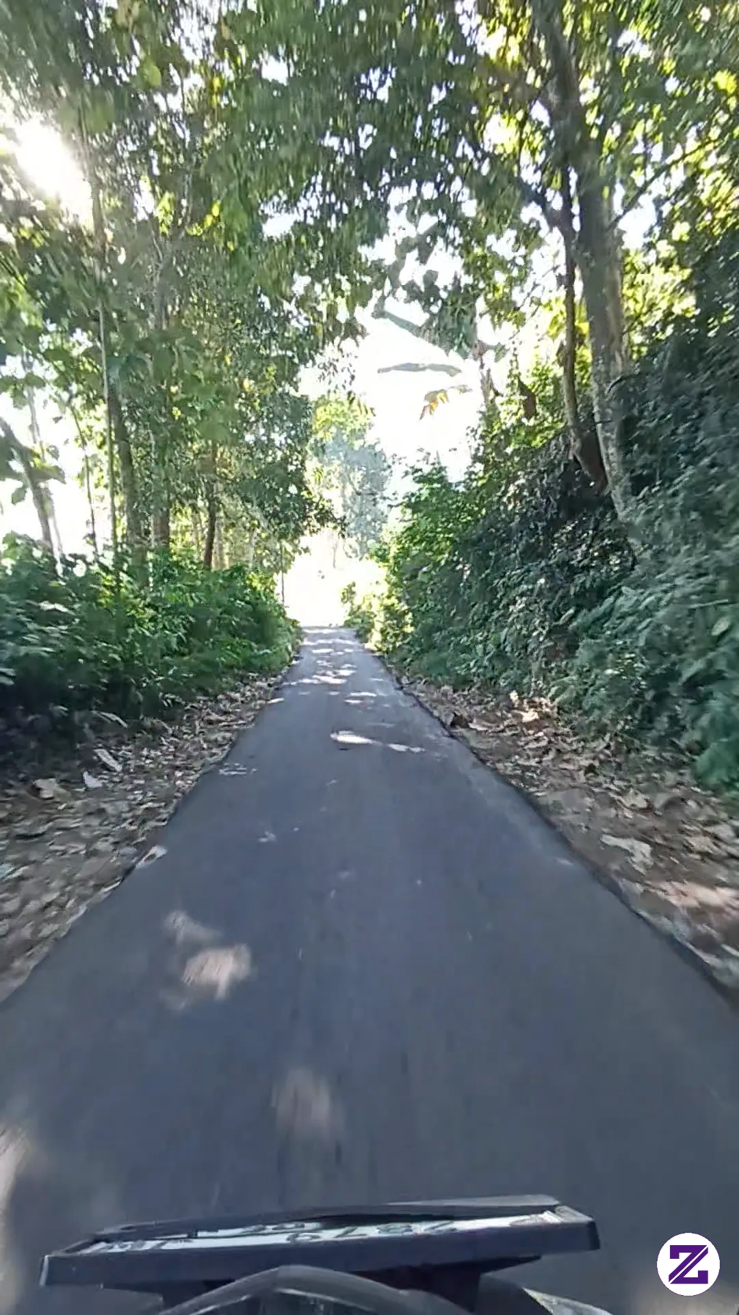 Jalan Mulus Di Tengah Perkebunan,sejuk Nan Asri Bikin Perjalanan Semakin Syahdu