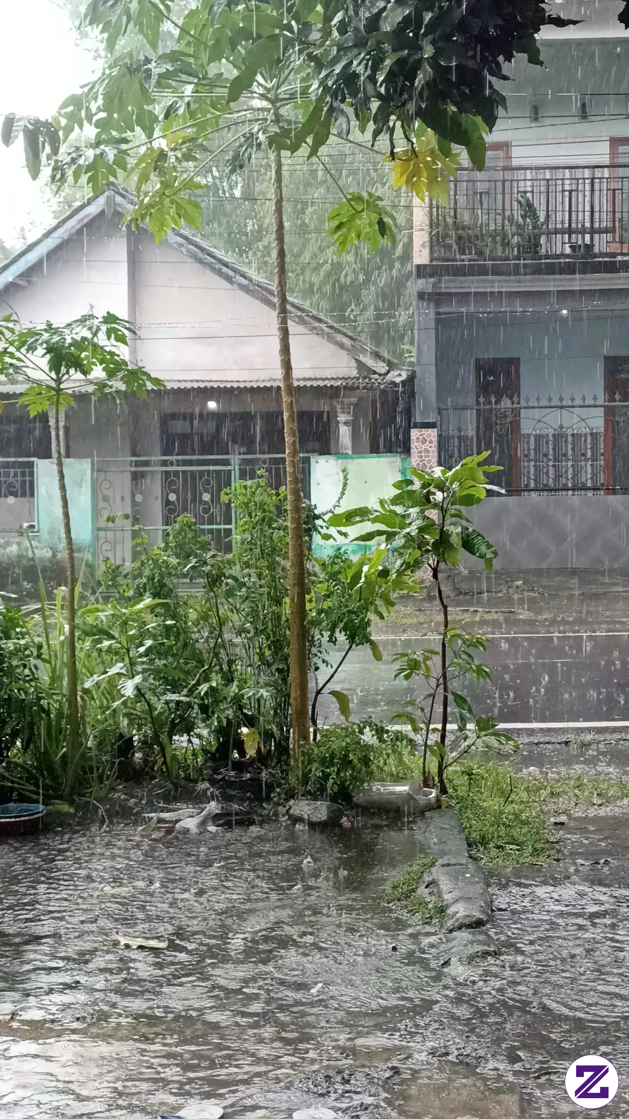 Hujan Adalah Rahmat, Jangan Pernah Menghujat Hujan, Tanpa Hujan Tumbuhan Akan