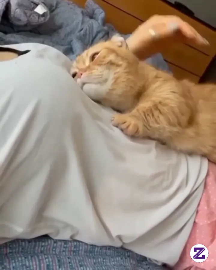 Selamat Pagi
