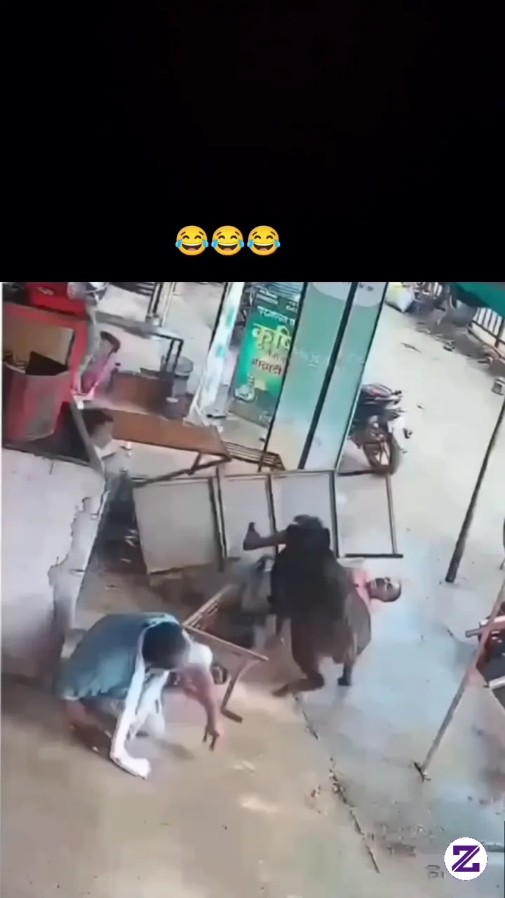 Seorang Pria Di Loco Bagas Atau Babi Ganas