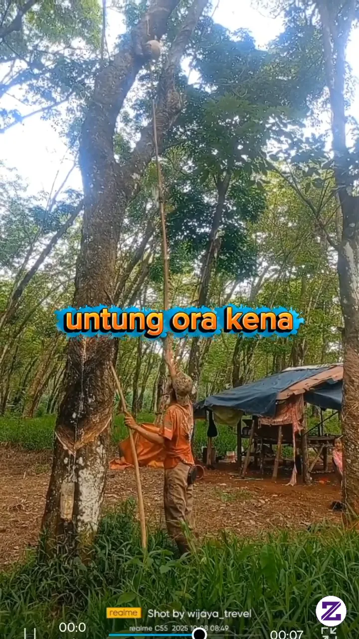 Detik Detik Mandi Getah Karet,,🤣🤣
