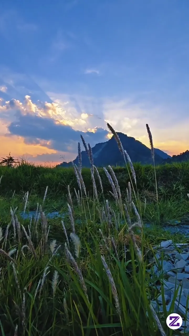 Dengarkan Sungai Desa Saat Fajar. Tidak Ada Klakson Mobil, Hanya Suara Air