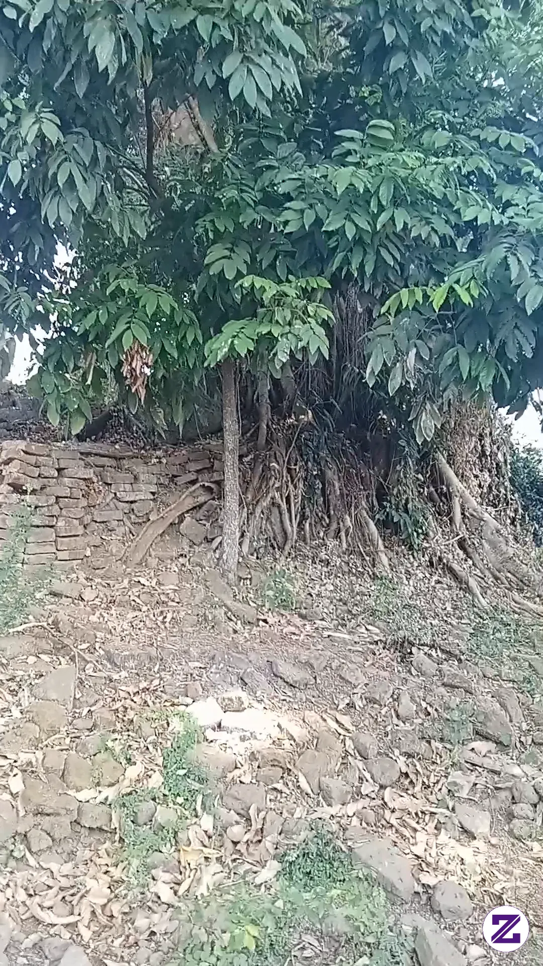 CANDI SUMBERINGIN KIDUL ,NGUNUT TULUNGAGUNG JAWA TIMUR