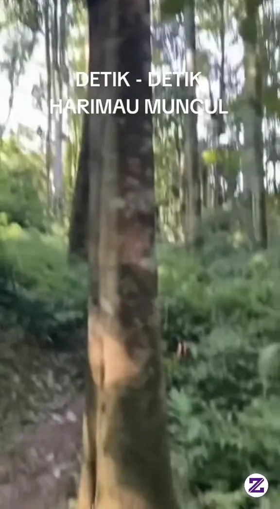 Siapin Aja Tisu Atau Kain Atau Apapun Itu Yg Penting Bisa Buat Lap