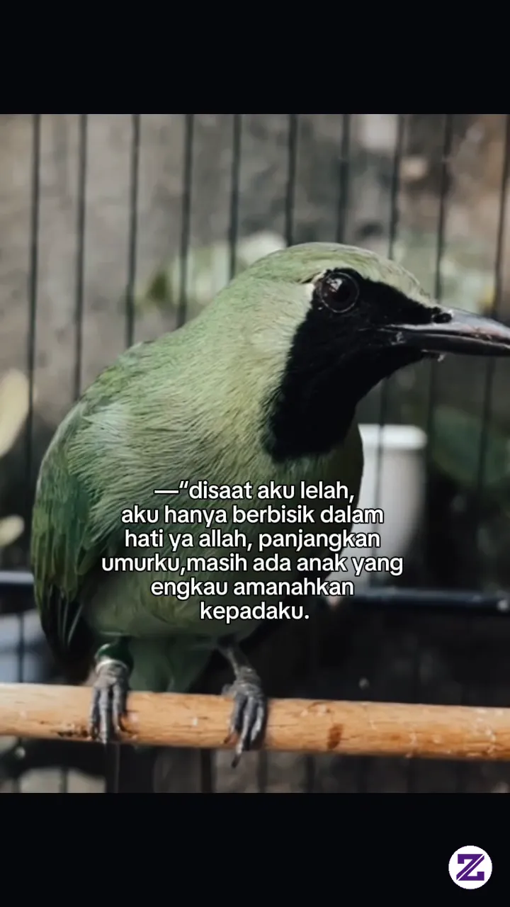 Jangan Lupa Bersyukur Kawan