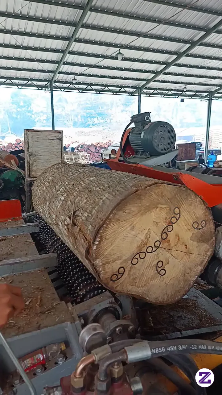 Proses Kupas Kayu Ledig Menggunakan Mesin Debarker