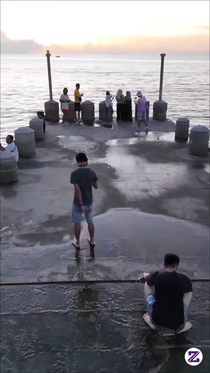Funny Videos