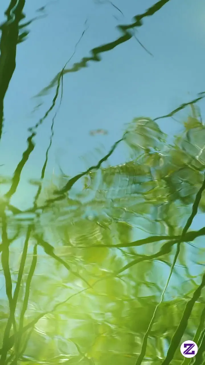 Drops Falling Into The Water Of A Pond