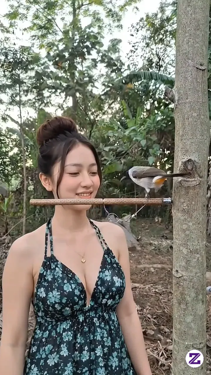 Mikat Kutilang
