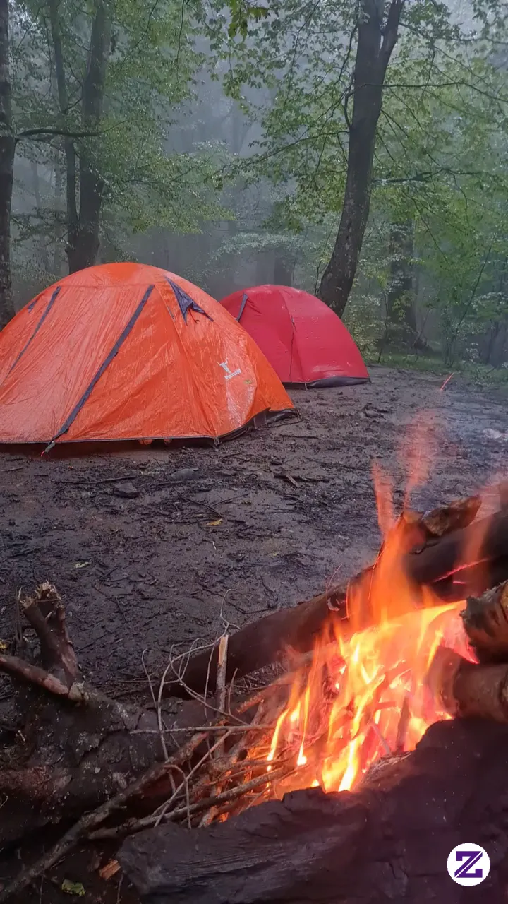 Rain And The Forest That Romantic