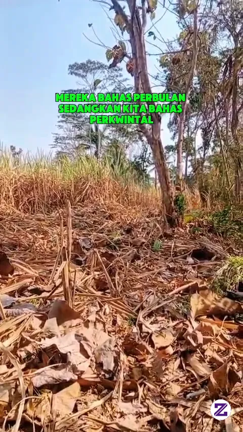 Tutorial Tebang Tebu
