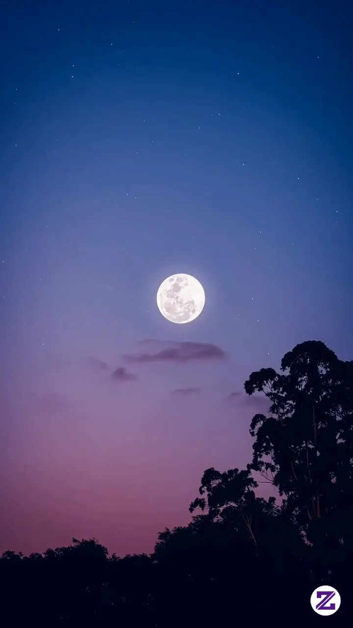 The Sky Forgets The Day. The Moon Does Not.