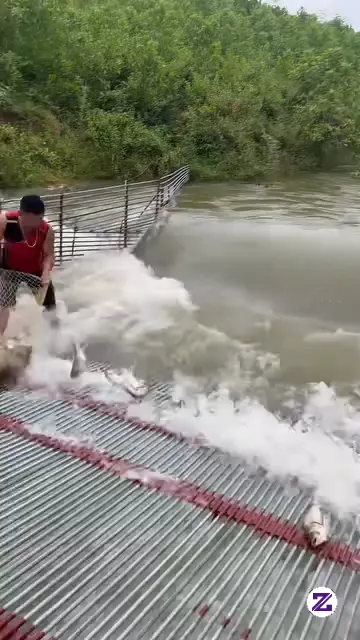 Menangkap Ikan Dengan Cara Yg Unik Tinggal Menunggu Ikan Datang 🤯🤯🤯